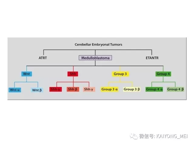 2016 WHO中枢神经系统肿瘤分类解读（三）