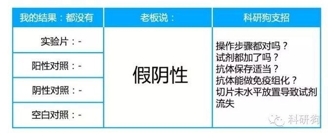 那些年做过的免疫组化