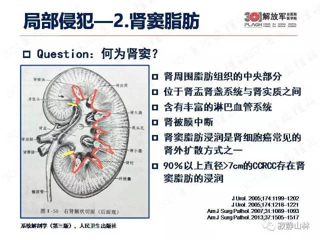 泌尿系统常见肿瘤标本病理报告规范