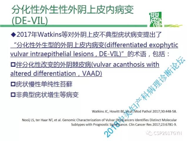 非HPV相关的外阴鳞状细胞肿瘤
