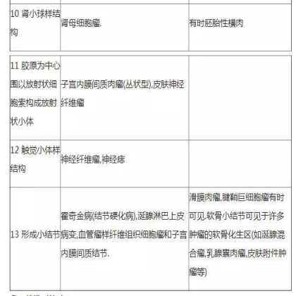 肿瘤病理学分类大全