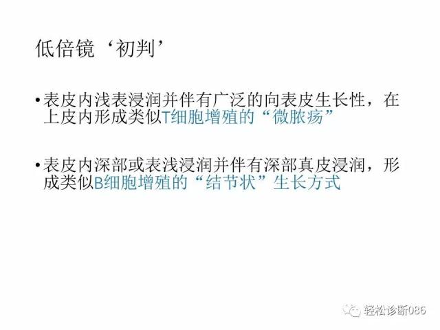 皮肤B细胞淋巴瘤