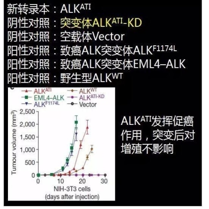 国自然科学问题分析： mRNA也是“拼接”范儿