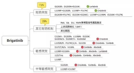 ALK融合阳性NSCLC的耐药对策