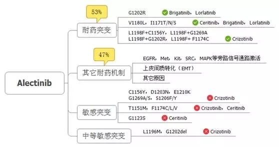 ALK融合阳性NSCLC的耐药对策