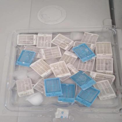 做一张赏心悦目的切片（札记八十六）