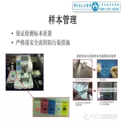 PQCC示范实验室展示——广东省人民医院病理科