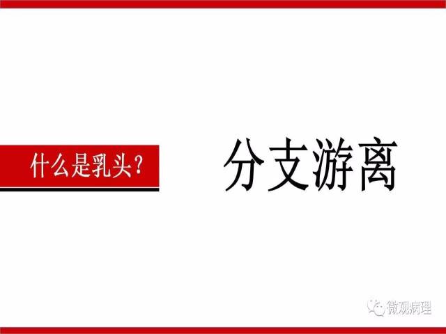 泌尿课程/尿路上皮病变的基本生长方式