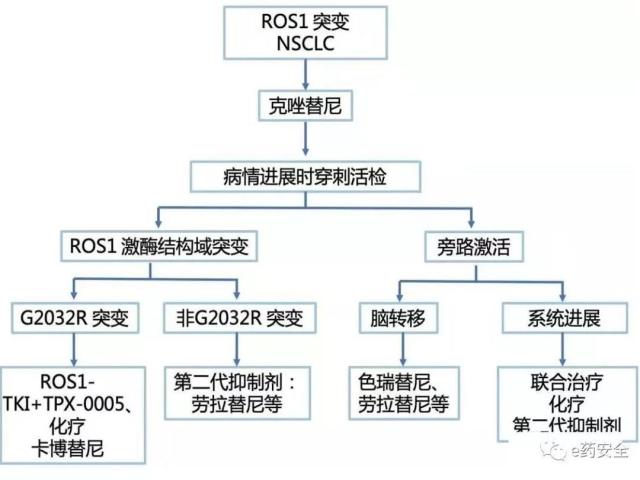 肺癌丨精准医疗,针对ROS1阳性的靶向治疗 肺癌丨精准医疗,针对ROS1阳性的靶向治疗