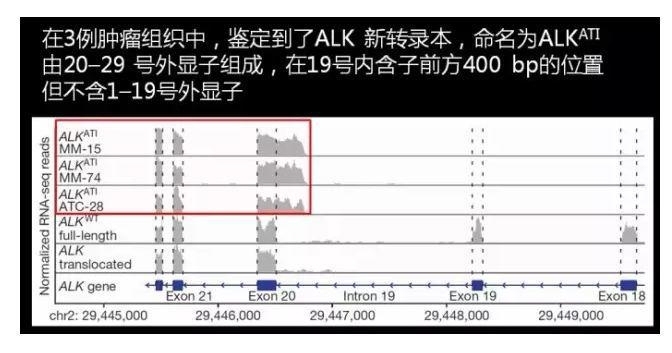 国自然科学问题分析： mRNA也是“拼接”范儿