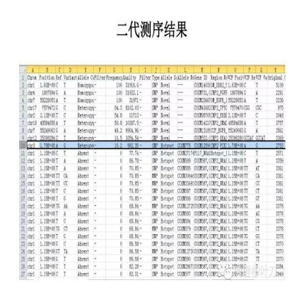 肿瘤精确医疗与分子病理检测