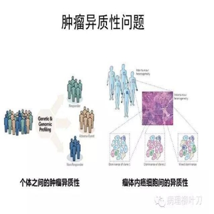 肿瘤精确医疗与分子病理检测