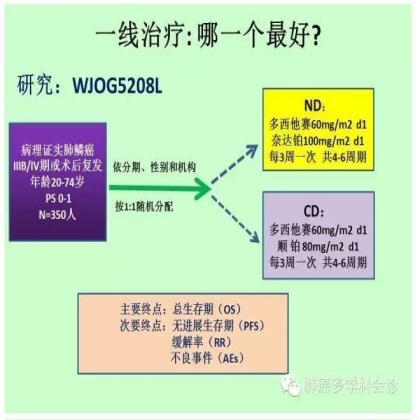 2015晚期肺鳞癌治疗热点回顾