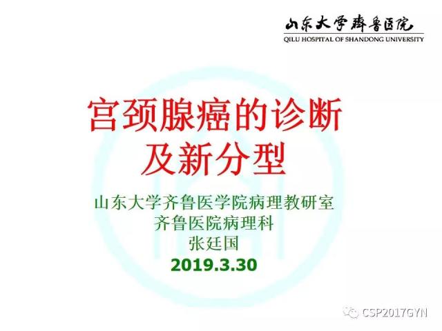 中华病理学会基层培训遵义站讲座（四）——宫颈腺癌的诊断及新分型