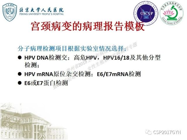 中华病理学会基层培训遵义站讲座（三）——宫颈鳞状上皮病变的病理诊断与鉴别诊断