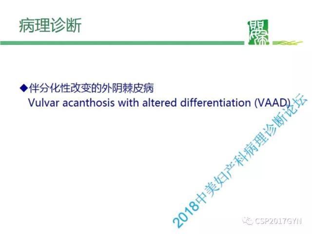 非HPV相关的外阴鳞状细胞肿瘤
