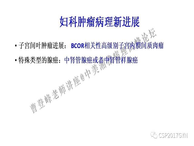 妇科肿瘤病理新进展——特殊类型的腺癌