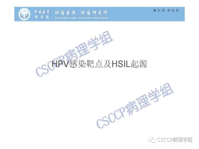 宫颈癌前病变中的诊断难点及阴道镜中ECC的 应用价值
