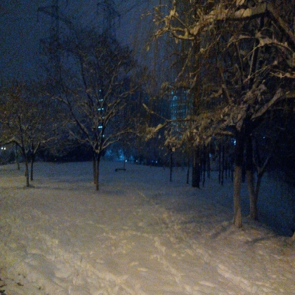 每年的第一场雪