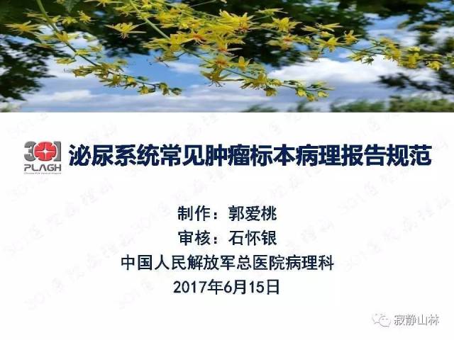 泌尿系统常见肿瘤标本病理报告规范