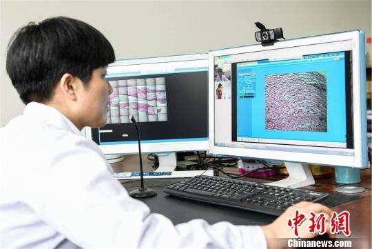 武大人民医院远程病理会诊中心成立 助推分级诊疗