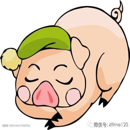 猪的计算方式，乐一乐（转帖）