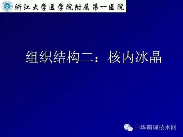 冰冻切片报告注意事项