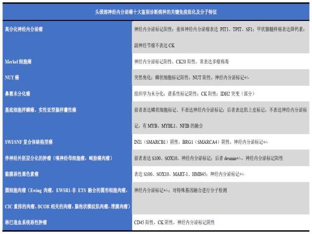 头颈部病理十大-神经内分泌癌十大鉴别诊断（一）