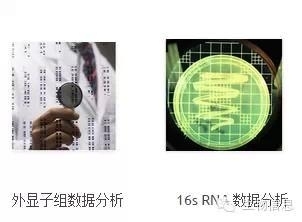 NGS数据处理流程