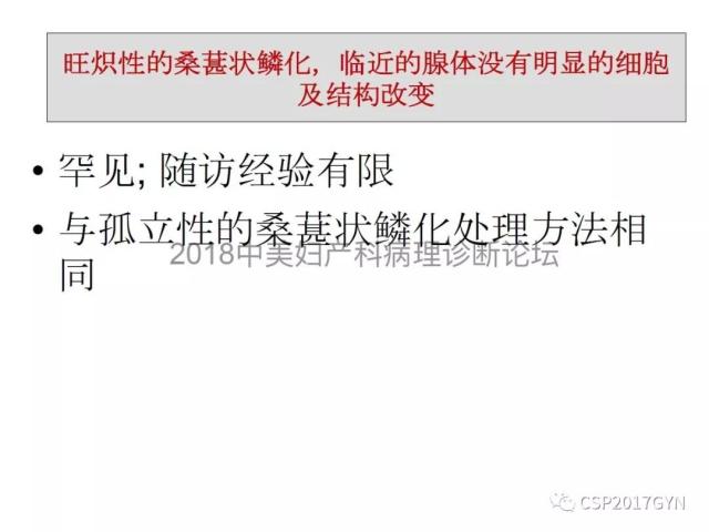 子宫内膜假肿瘤性病变及类似癌样病变