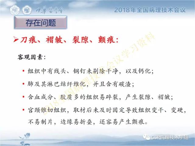 宋欣：HE切片质量控制及常见问题分析
