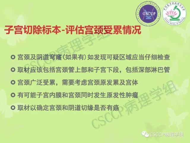 宫颈与子宫病变病理标本取材