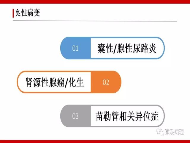 泌尿课程/尿路腺样病变的诊断要点