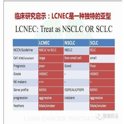 肺癌新分期和分类--临床和研究启示
