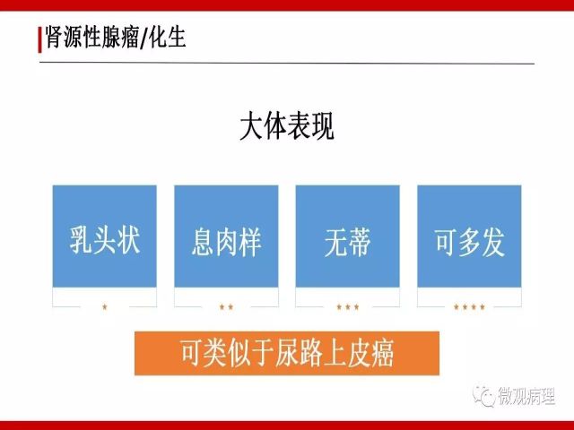 泌尿课程/尿路腺样病变的诊断要点