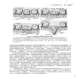 默认相册