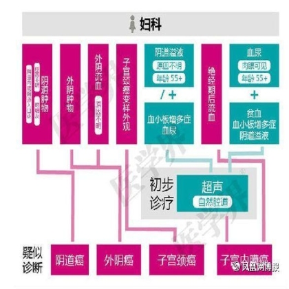 成人肿瘤诊断流程图