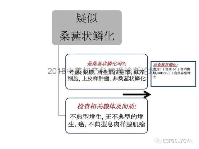 子宫内膜假肿瘤性病变及类似癌样病变