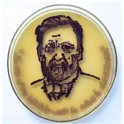生物学霸们用培养基作画