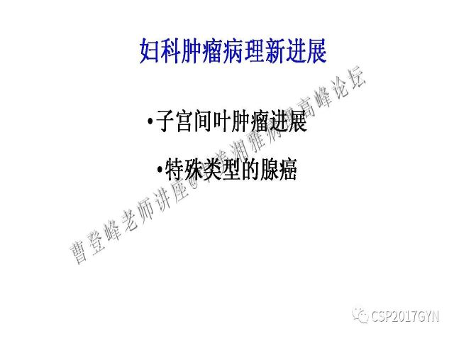 妇科肿瘤病理新进展——子宫间叶肿瘤进展