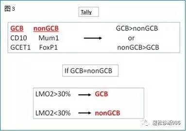 侵袭性B细胞淋巴瘤——DLBCL（3）