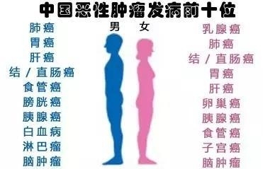 菠萝 | 癌症该如何分类？从1.0到4.0版
