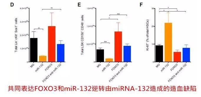基金 | 可以点亮标书的2015年miRNA最新研究机制