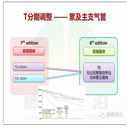 肺癌新分期和分类--临床和研究启示