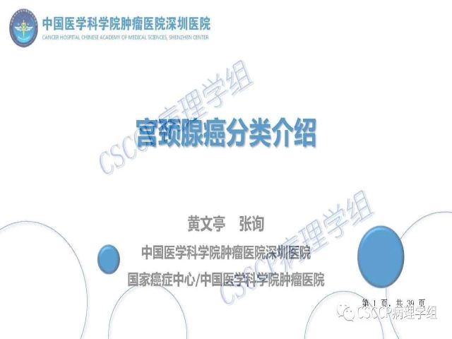 黄文亭 张询：宫颈腺癌分类介绍