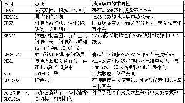 胰腺癌的基因和靶向治疗