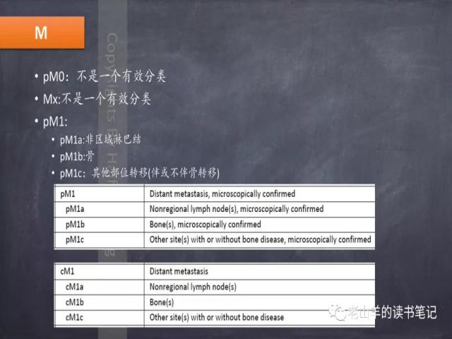 AJCC第8版 前列腺癌分期 之 病理学要点