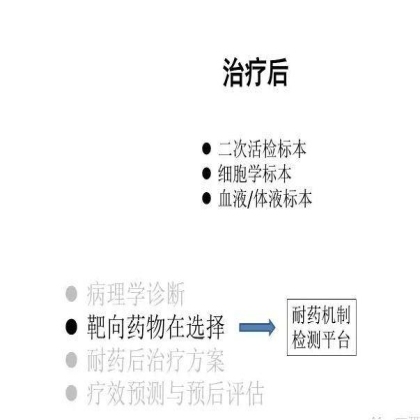 肿瘤精确医疗与分子病理检测