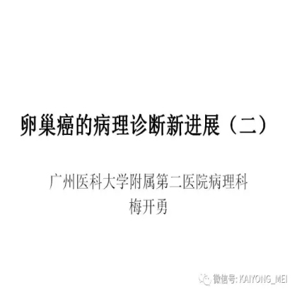 卵巢癌的病理诊断新进展（二）