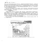 默认相册